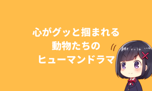 心がグッと掴まれる動物たちのヒューマンドラマ